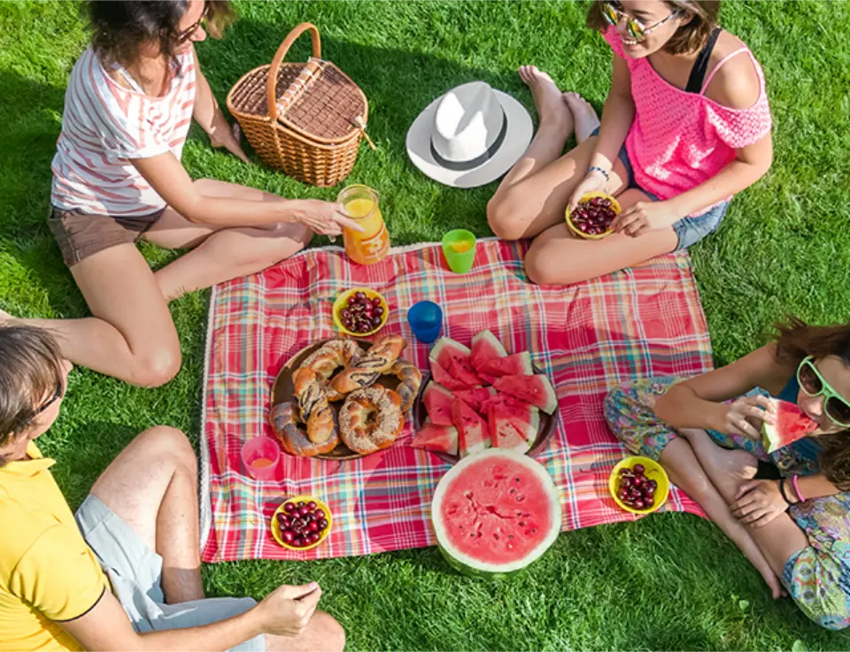 idée picnic famille